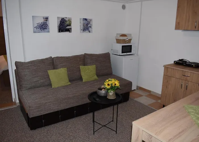 Apartament Zimbru