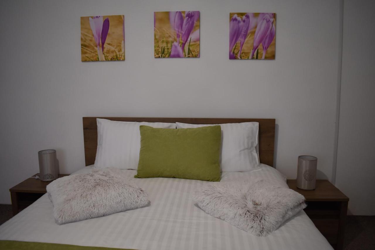 Zimbru Apartament *